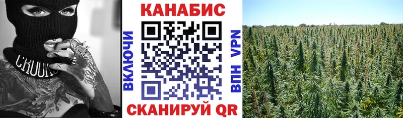 Купить наркотики сайты Дмитров Кокаин  СОЛЬ  ГАШИШ  МАРИХУАНА  Амфетамин  Меф 
