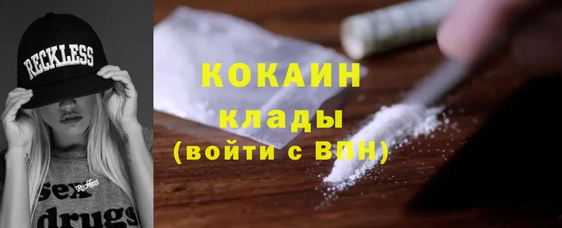 Cocaine Fish Scale  купить закладку  Дмитров 