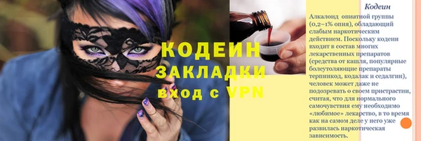 прущие грибы Сафоново