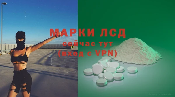 прущие грибы Сафоново