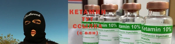 прущие грибы Сафоново