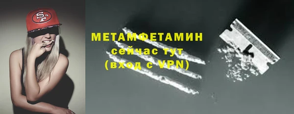 прущие грибы Сафоново