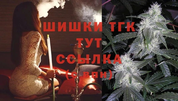 прущие грибы Сафоново