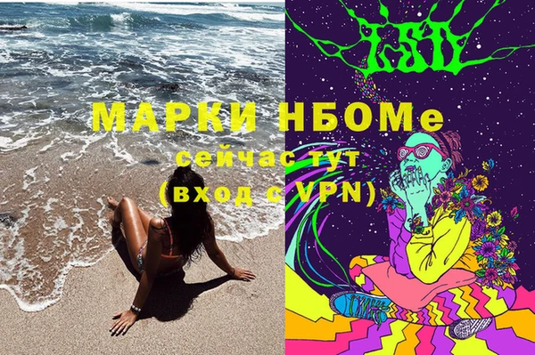 гидра Карпинск