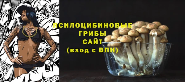 молекула духа Саяногорск