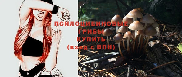 прущие грибы Сафоново