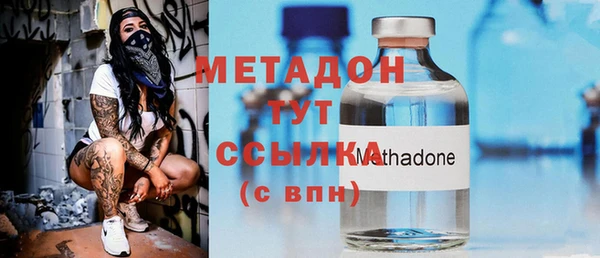 прущие грибы Сафоново