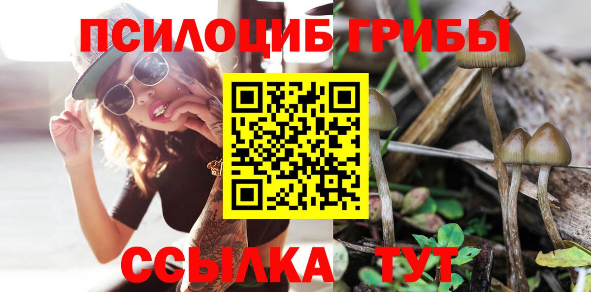 Псилоцибиновые грибы прущие грибы Дмитров
